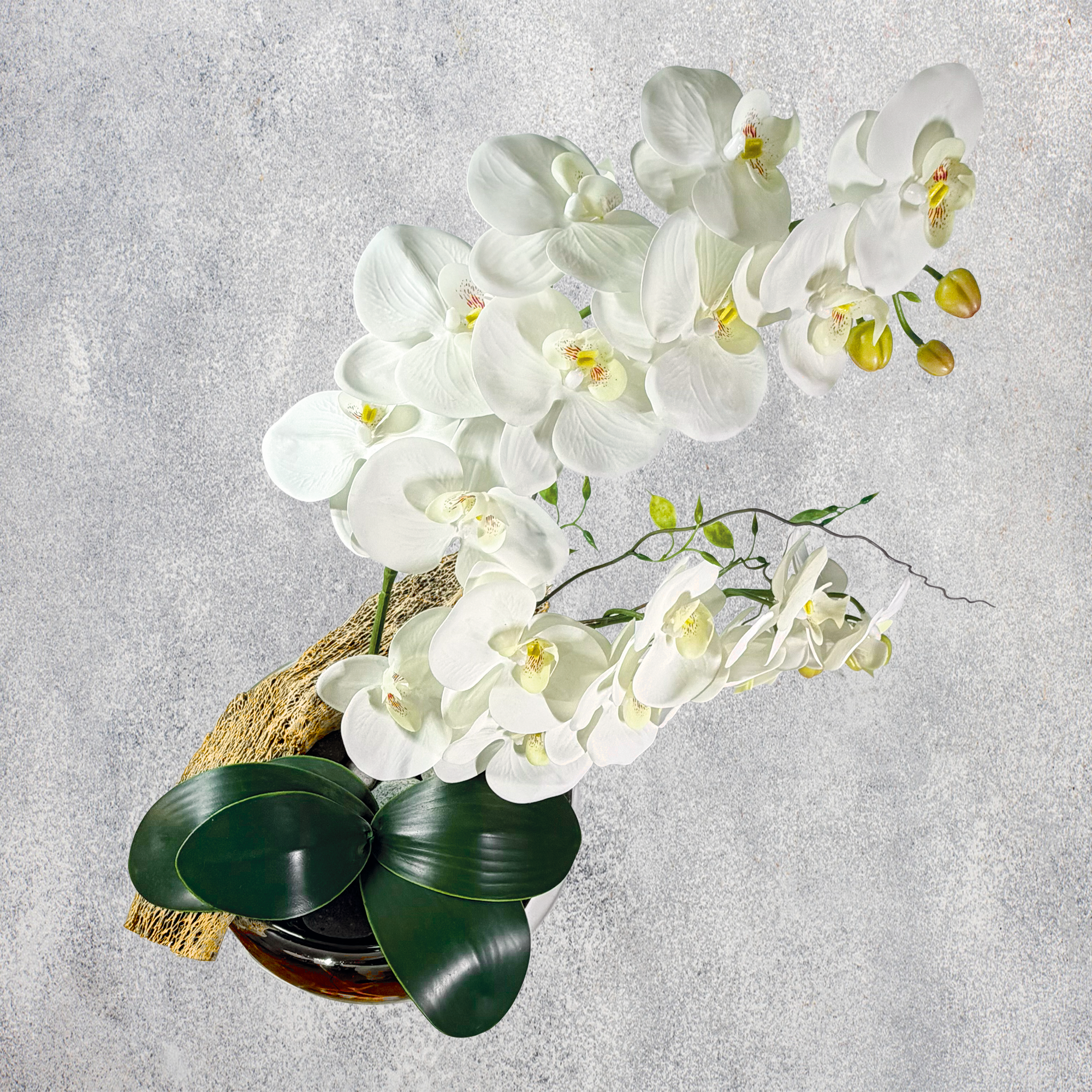 Orquideario Premium de Toque Real – Phalaenopsis en Base Esférica Espejo