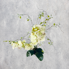 Orquideario Premium de Toque Real – Phalaenopsis en Base Alta Espejo