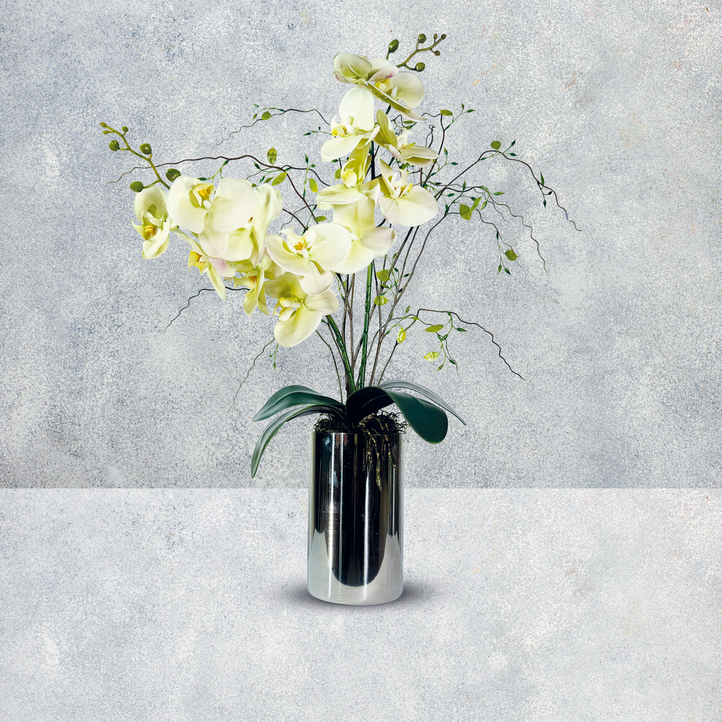 Orquideario Premium de Toque Real – Phalaenopsis en Base Alta Espejo