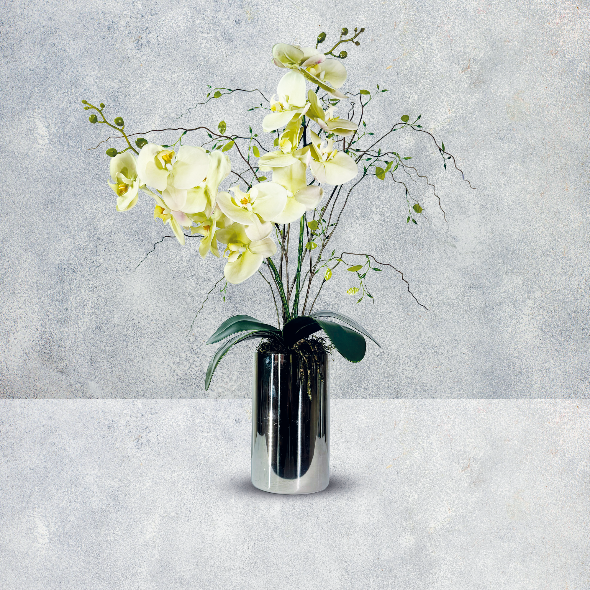 Orquideario Premium de Toque Real – Phalaenopsis en Base Alta Espejo